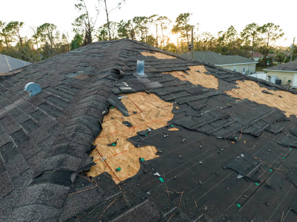 Best Skylight Installation and Repair  in Milton, LA